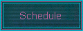 Daily Schedule